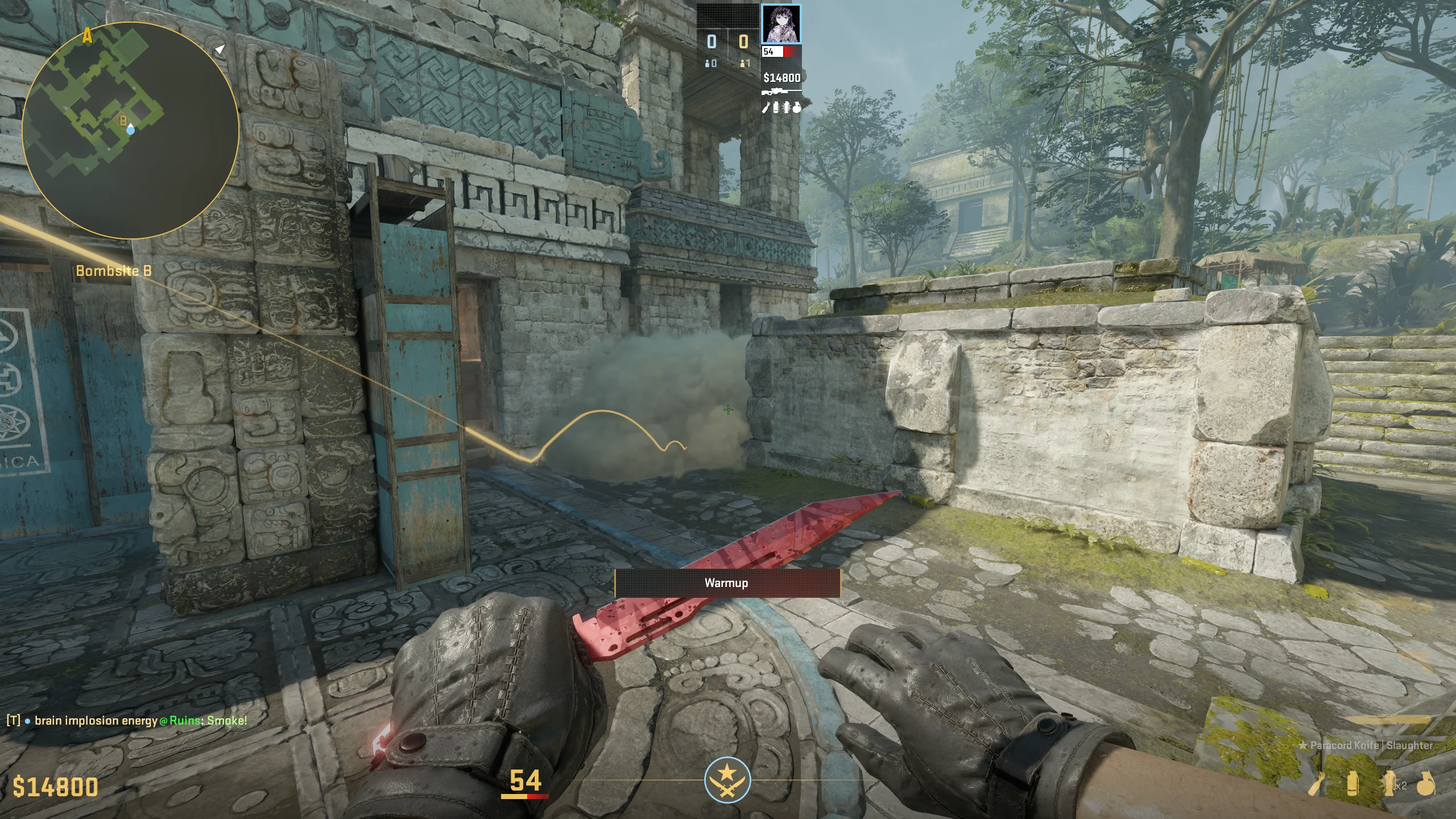 B Short Smoke